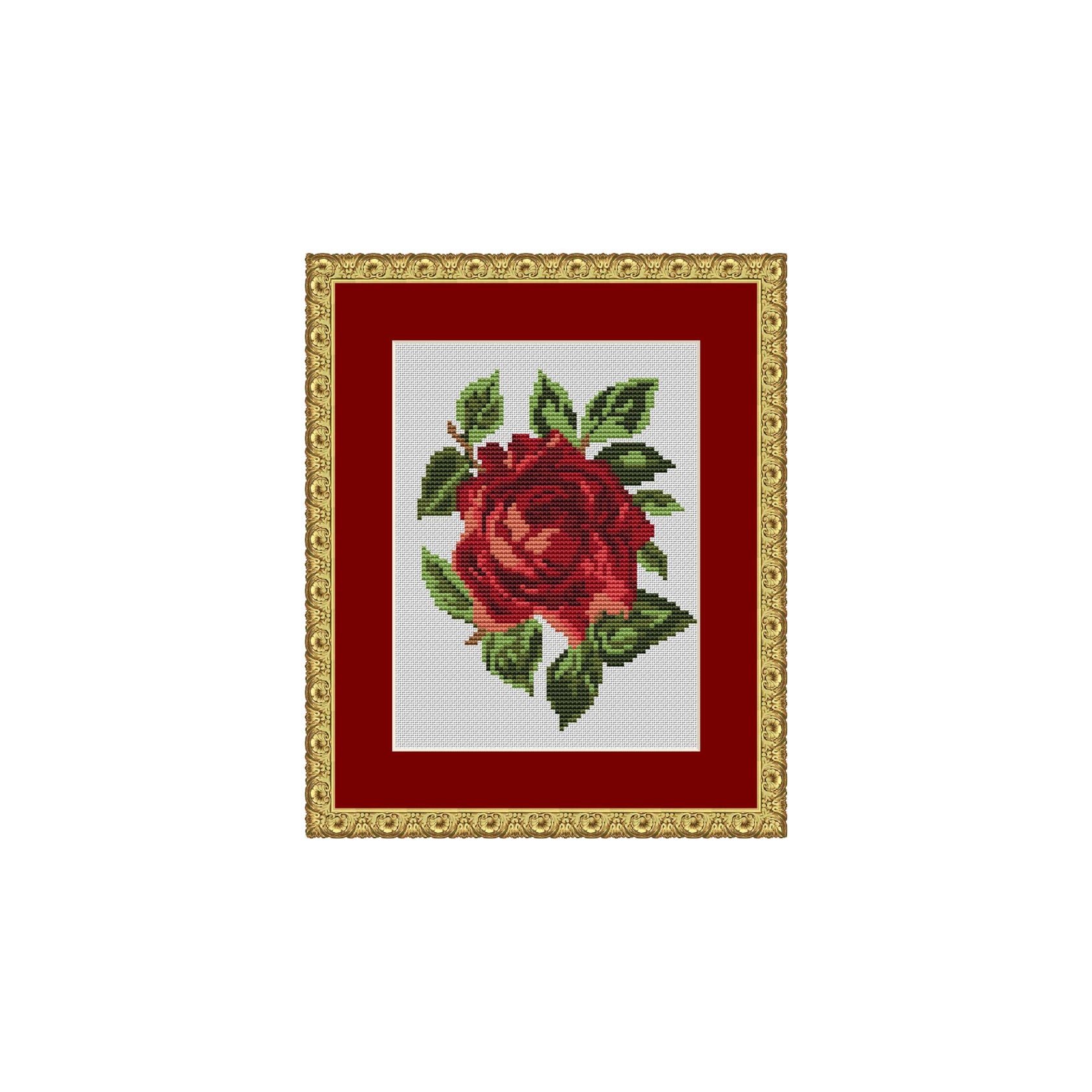 Rosenblüte