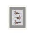 3 Vögel