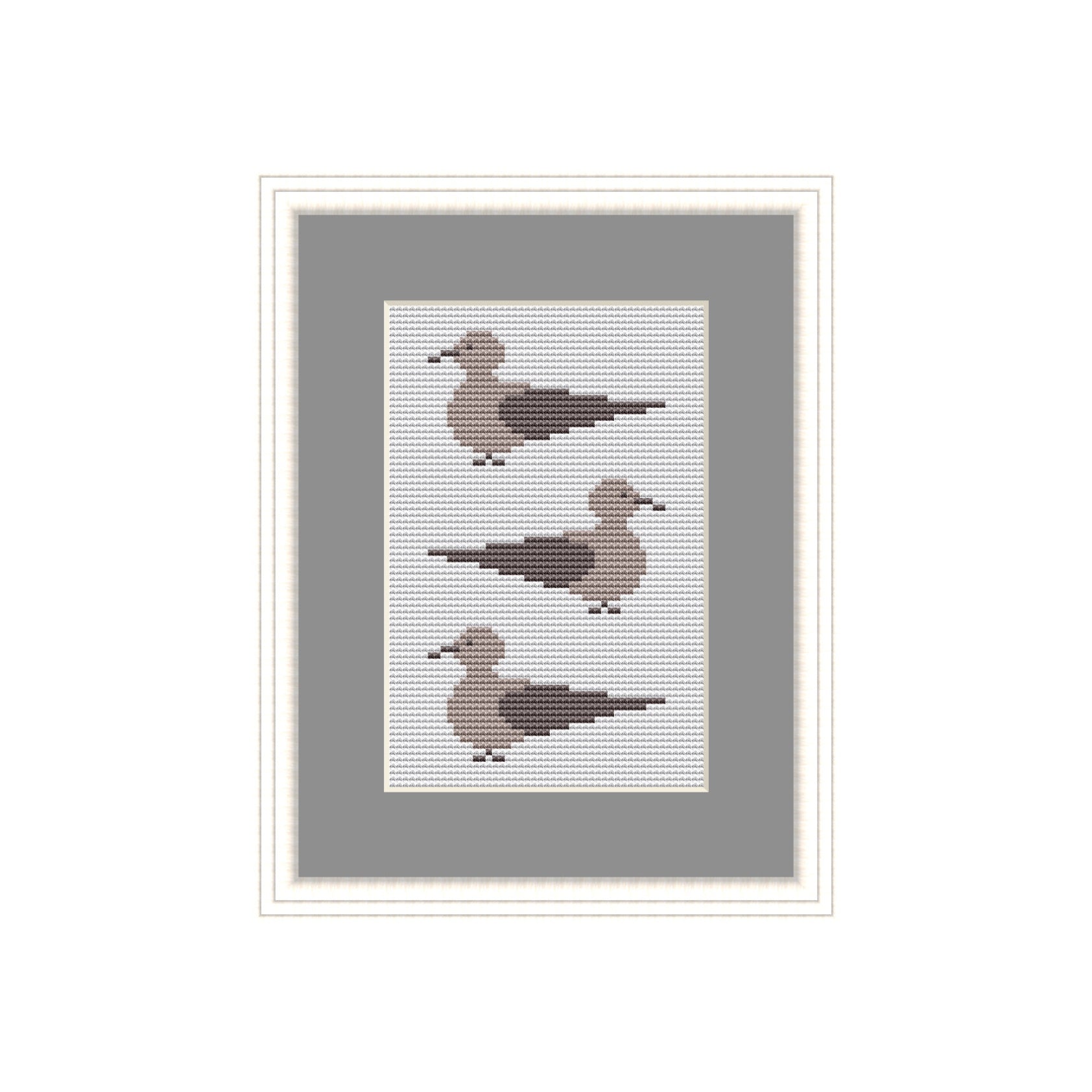 3 Vögel