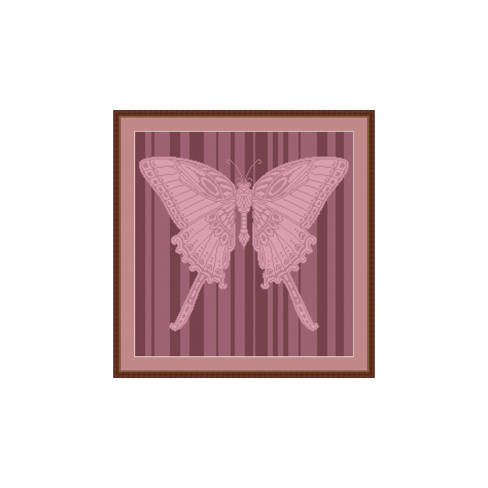 Schmetterling1