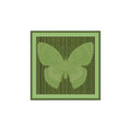 Schmetterling2