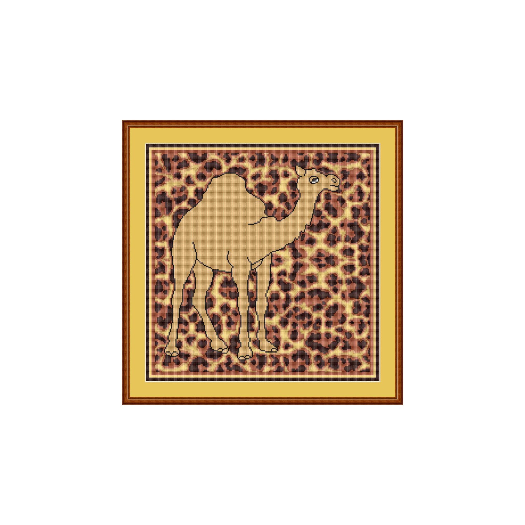 Safari Kamel