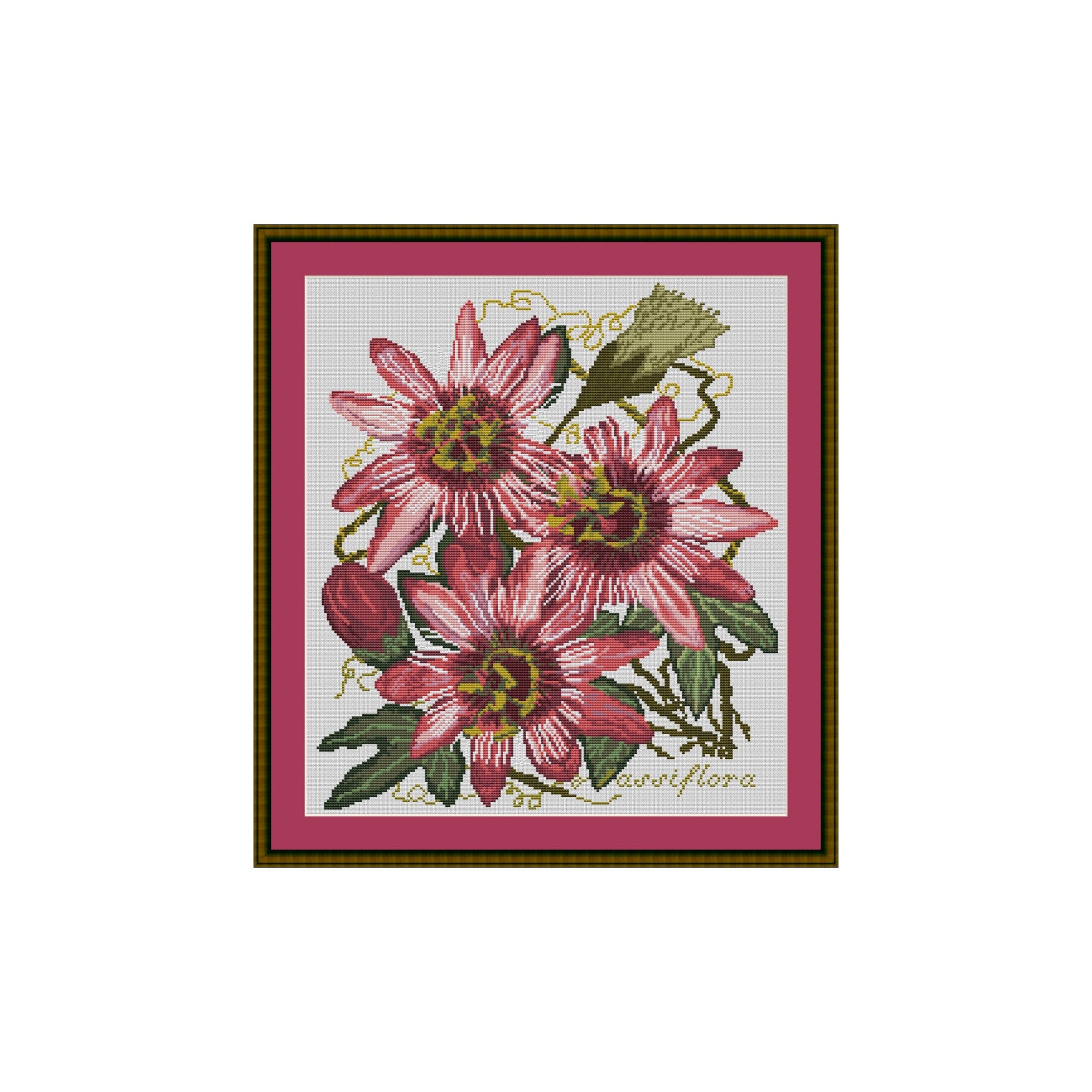 Passiflora